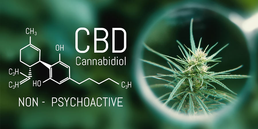 Photoshopped image of cannabis alongside the chemical composition of CBD 