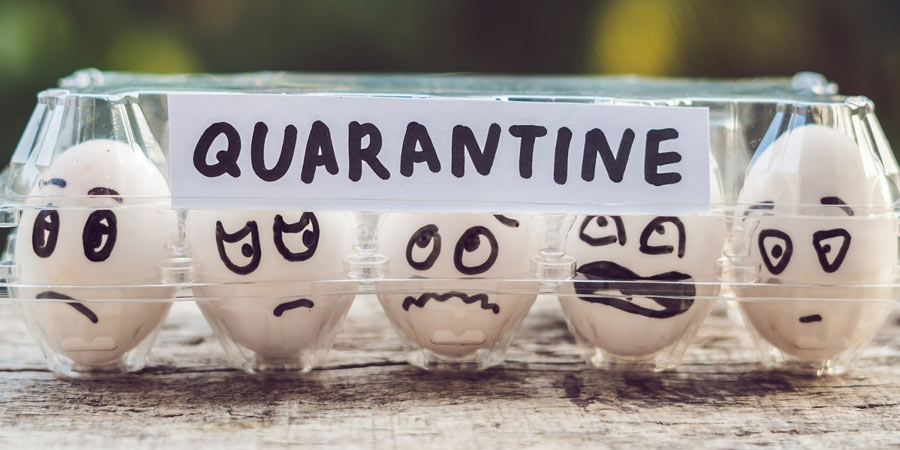 Five eggs with handdrawn faces in a clear plastic egg carton labelled quarantine 