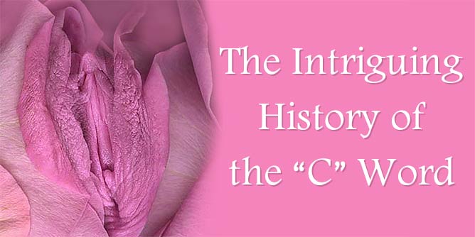 Pink rose with open petals resembling a woman's vulva