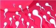 15 Extraordinary Facts About Sperm