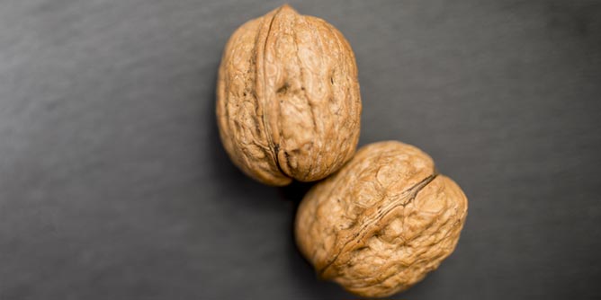 A pair of walnuts to represent a man's testicles