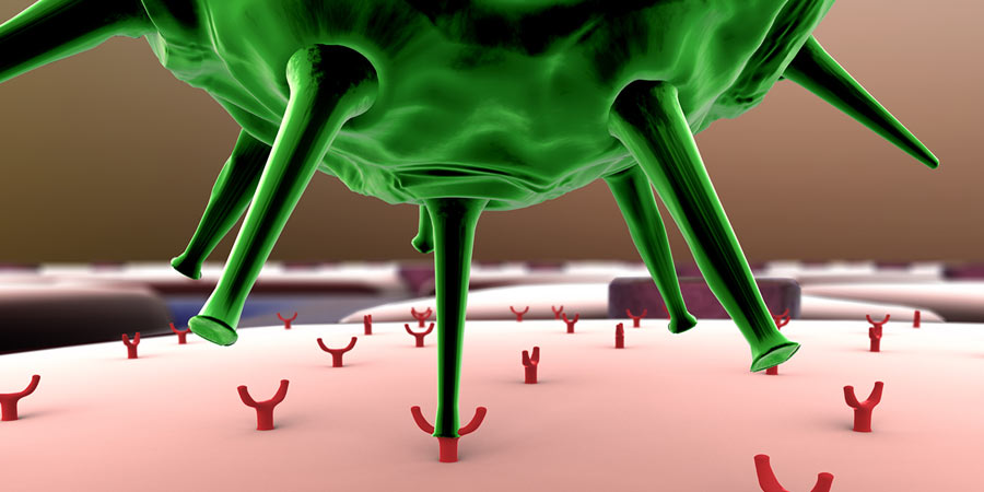 Illustration of an invasive virus being fought off by the body's immune system